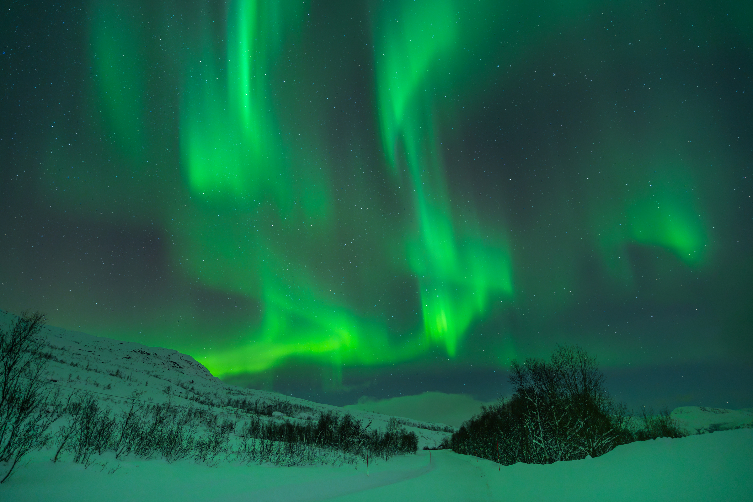 Grüne Polarlichter nahe Tromsø
